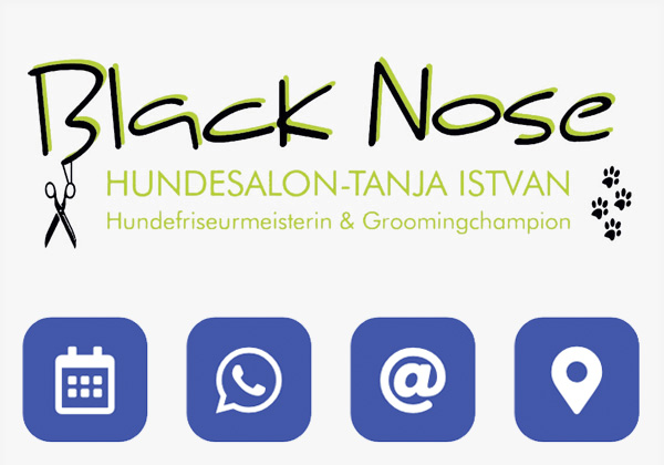 grafikdesign moessingen